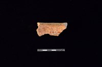 陶片藏品圖，第2張